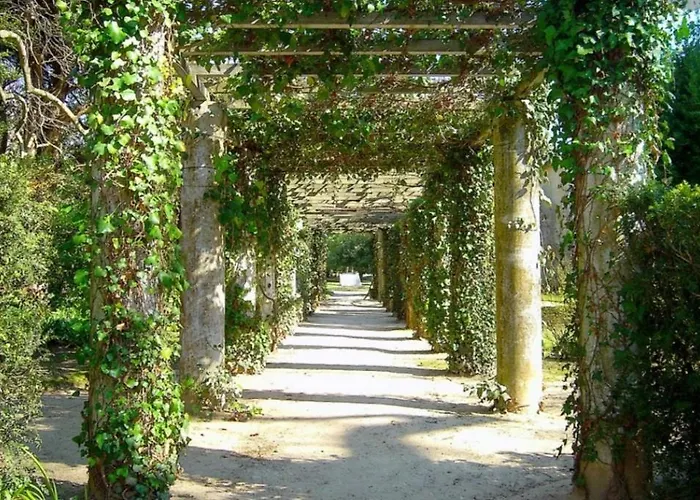 Apartment Sea House Foz do Arelho